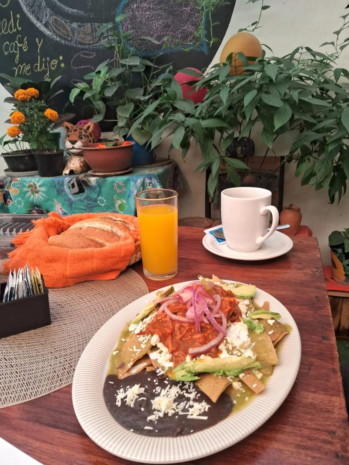 Desayuno en la terraza: chilaquiles, jugo de naranja y café entre plantas